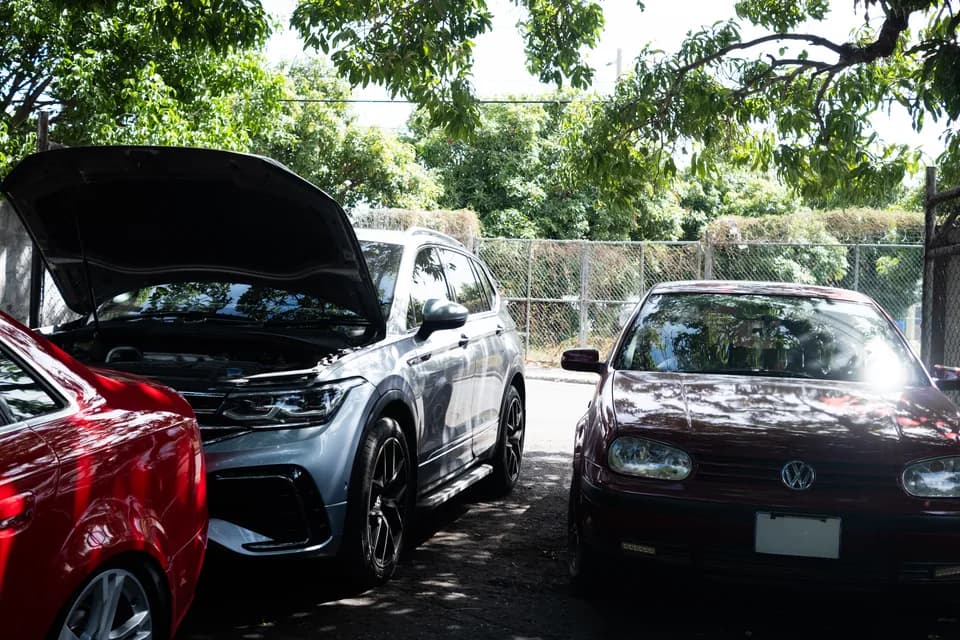 Volkswagens parked beneath shade trees in the workshop yard, including a silver vehicle with its bonnet open