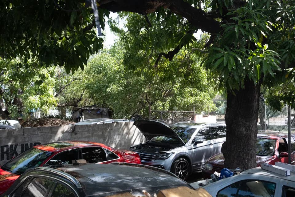 Multiple vehicles, including a Volkswagen with its bonnet open, beneath shade trees in the VW PLUS yard